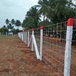 WhatsApp Image 2026-02-19 at 2.04.44 PM (1)