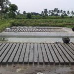 WhatsApp Image 2026-02-19 at 2.04.45 PM