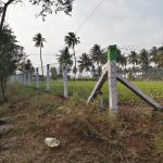 WhatsApp Image 2026-02-19 at 2.04.47 PM (2)