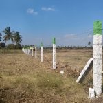 WhatsApp Image 2026-02-19 at 2.04.48 PM (1)