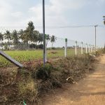 WhatsApp Image 2026-02-19 at 2.04.48 PM