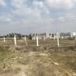 WhatsApp Image 2026-02-19 at 2.04.50 PM (1)