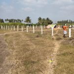 WhatsApp Image 2026-02-19 at 2.04.50 PM