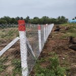 WhatsApp Image 2026-02-19 at 2.04.51 PM (1)