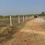 WhatsApp Image 2026-02-19 at 2.04.51 PM