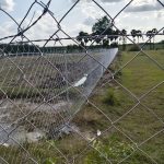 WhatsApp Image 2026-02-19 at 2.04.54 PM (1)